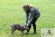 Welpen 13.09.2025 26